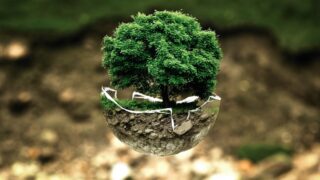 How to Make Your Environmental Organization Work More Effectively