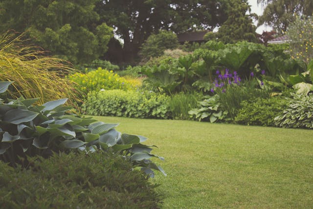 Low-Maintenance Landscaping Ideas for Busy Frisco Homeowners