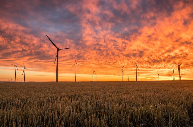 The Future of Offshore Renewable Energy: Wind, Tidal, and Beyond