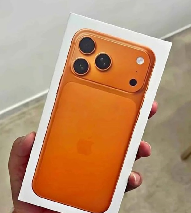 So You Got a New iPhone 17 Pro Max. Now, About That Case…