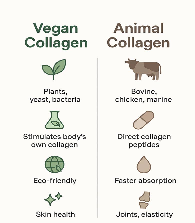 Vegan Collagen Vs. Animal Collagen