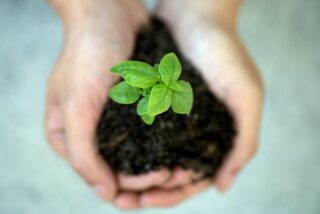 Sustainability That Sticks: Easy Changes You’ll Actually Keep
