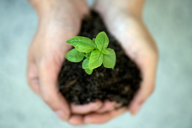 Sustainability That Sticks: Easy Changes You’ll Actually Keep