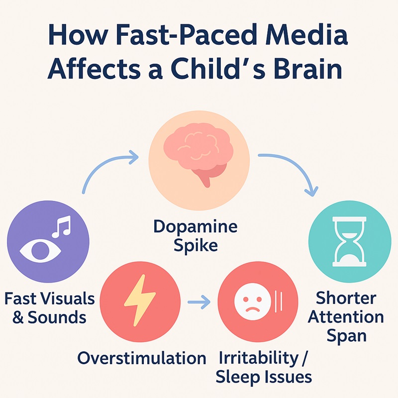 Flowchart showing how fast-paced visuals and sounds lead to dopamine spikes, overstimulation, and shorter attention spans in children.