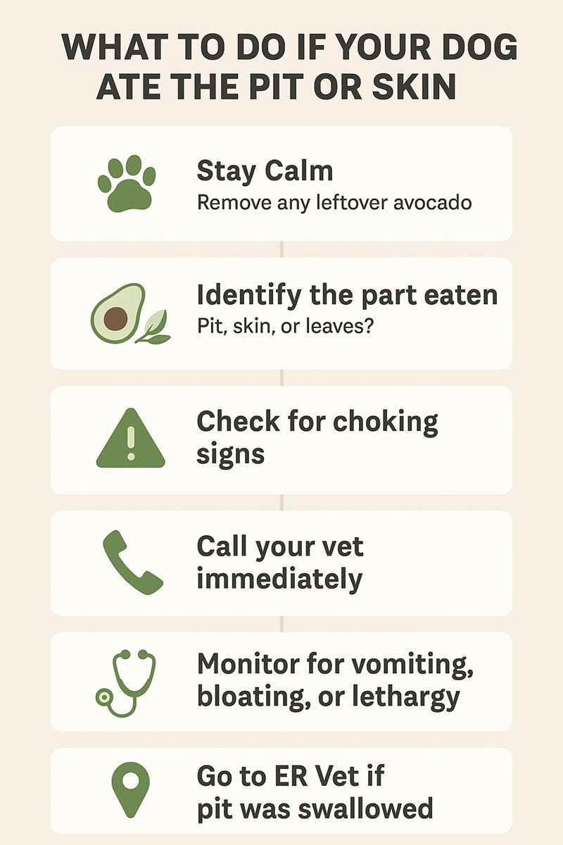 Infographic showing emergency steps to follow if a dog eats an avocado pit or skin.