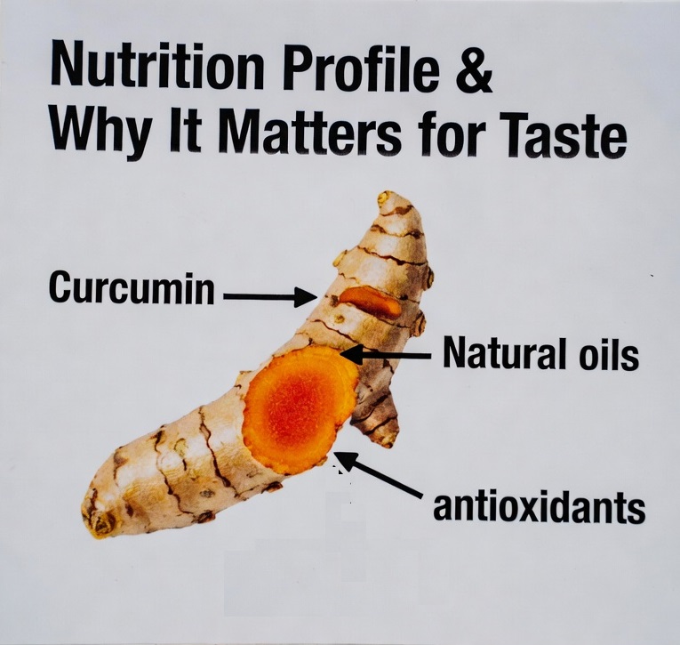 Infographic showing turmeric root with curcumin and natural oils that influence taste.