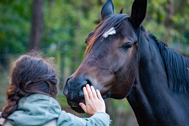 Horse Deworming Schedule: How Often Should You Deworm a Horse in the U.S.?
