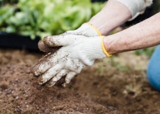 How Much Mulch Do I Need—and How Much Is Too Much? Avoid the #1 Mulching Mistake
