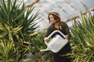 Sustainable Gardening Trends in 2026