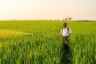 Reasons Responsible Pest Control is Important for Sustainable Living