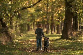 Pets Nudge Us Toward a Greener Lifestyle  5+1 Curious Reasons