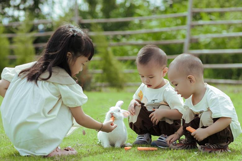 kids playing with rabbit
