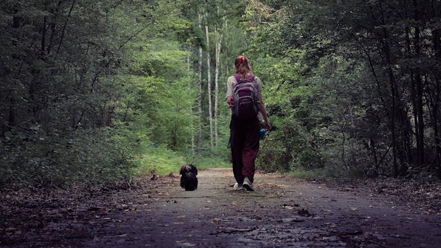 6 Eco-Friendly Pet Care Habits Every Household Should Try