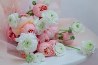 Types of Light Pink Flowers and How to Get Your Hands on Them Wholesale