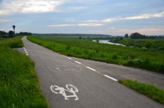 Blueprints for a Bike-Friendly Future: What Cities Can Learn from Cycling Networks