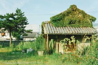 Adapting Homes to Future Climate Challenges