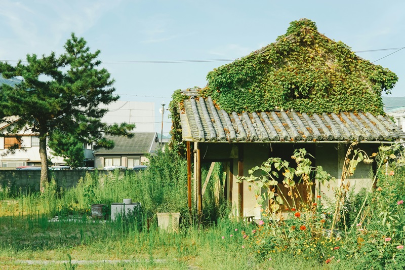 Adapting Homes to Future Climate Challenges