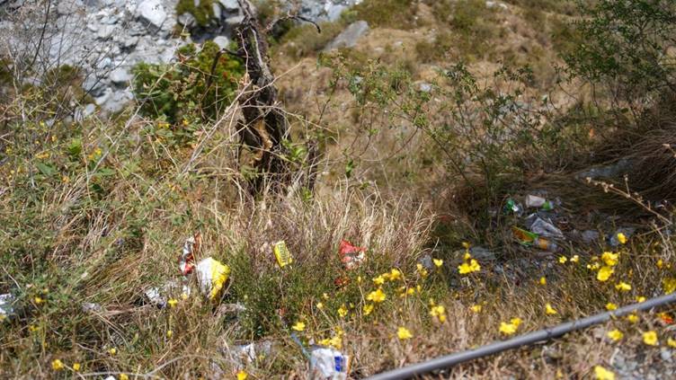 On the Bhagsu Trail, flowers bloom beside waste