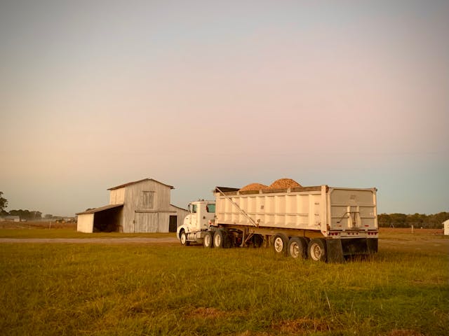 White dump truck loaded with harvested crops parked on a grassy farm field near a barn at sunset.