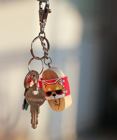 Home Secure During the Holidays