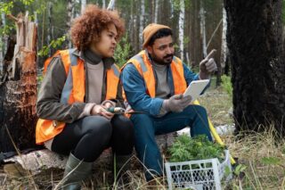 Best Practices for Minimizing Construction Impact on Natural Habitats