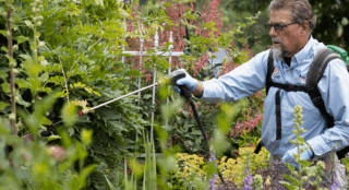 3 Surprisingly Easy Tricks That End Pests Forever