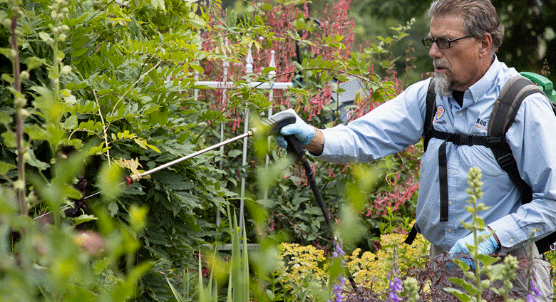 3 Surprisingly Easy Tricks That End Pests Forever