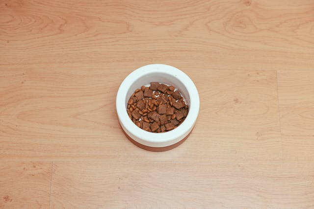 Best Dog Food for Your High Energy Pal – The Real Deal