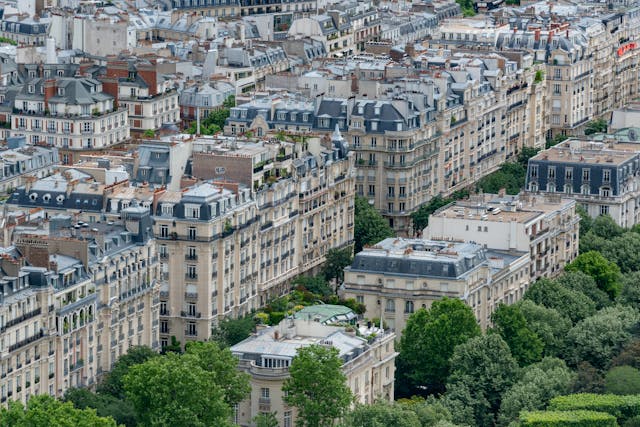 Paris urban forest