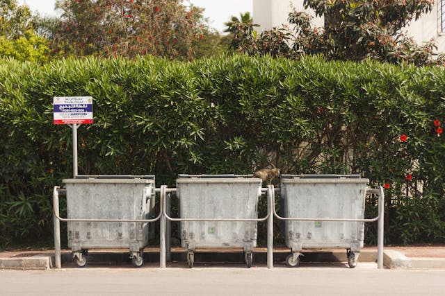 Sustainable Spring Cleanup: How Murfreesboro Homes, Businesses, and Job Sites Can Reduce Renovation Waste