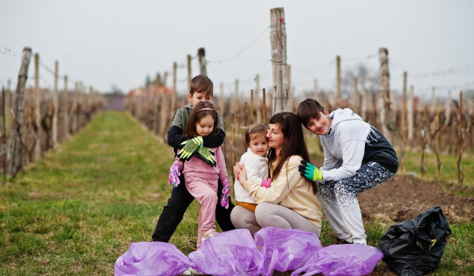 The Orthodoxy of Environmental Stewardship: How Patriarch Bartholomew's 30-Year Climate Mission Is Finally Breaking Through in American Christian Communities