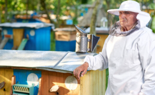 How Backyard Beekeepers in the American Midwest Are Quietly Doing More for the Environment Than Most Federal Programs