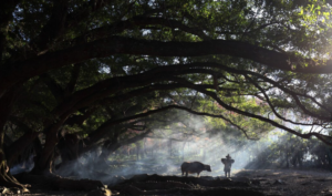 The Dark Earth of the Amazon That Lets Trees Grow Six Times Larger—And Scientists Think It Could Be Key to Fighting Climate Change
