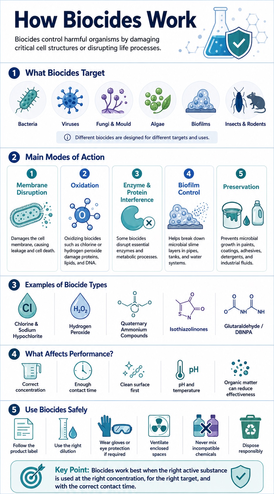 How Biocides Work infographic showing targets, action methods, examples, and safety tips.
