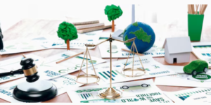 The California Environmental Law