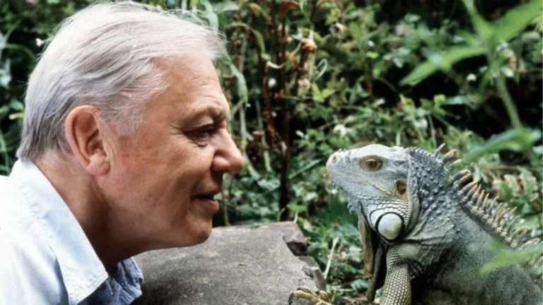 Sir David Attenborough
