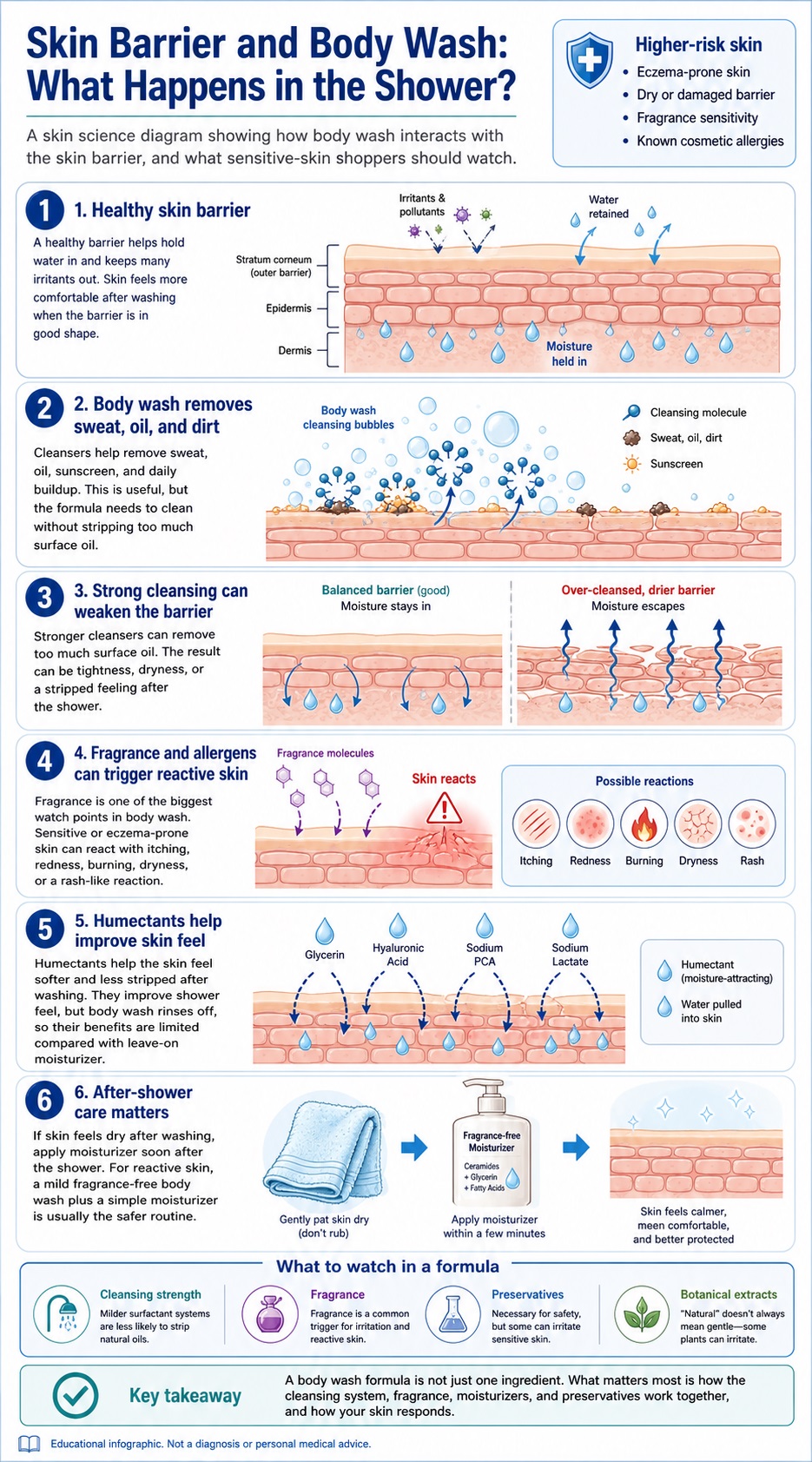 Skin science infographic showing how body wash interacts with the skin barrier, including cleansing, moisture loss, fragrance exposure, and post-shower dryness.