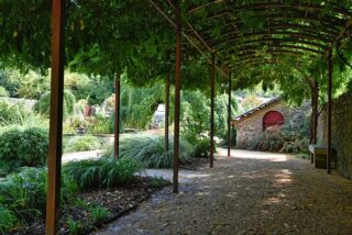 How to Choose the Right Erommy Pergola for Your Home