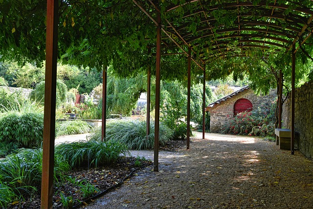 How to Choose the Right Erommy Pergola for Your Home