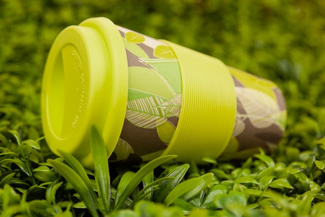 What Does Biodegradable Mean
