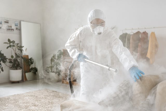 Biocides: Meaning, Uses, Risks, and Rules