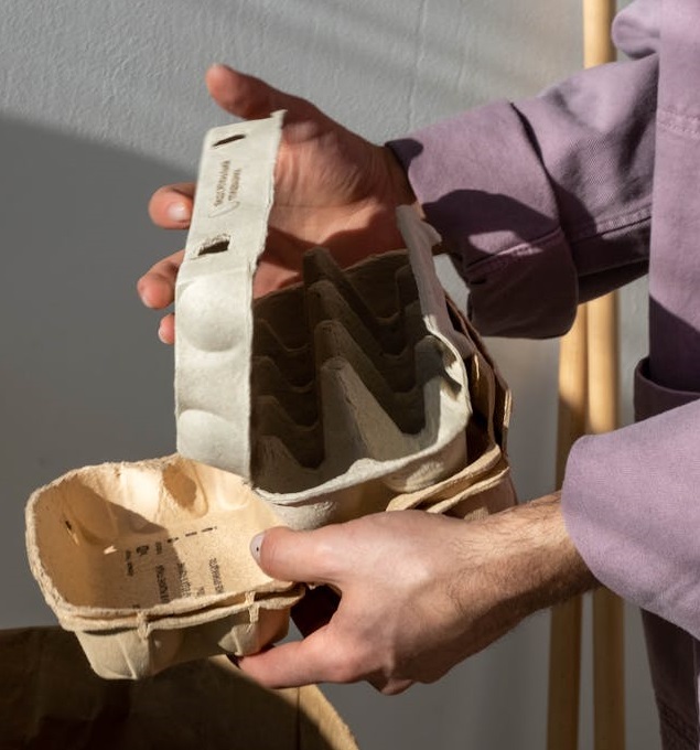 What Does Biodegradable Mean and Why Does It Matter For The Environment?
