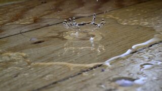 How Water Damage Impacts Indoor Environmental Health and Air Quality