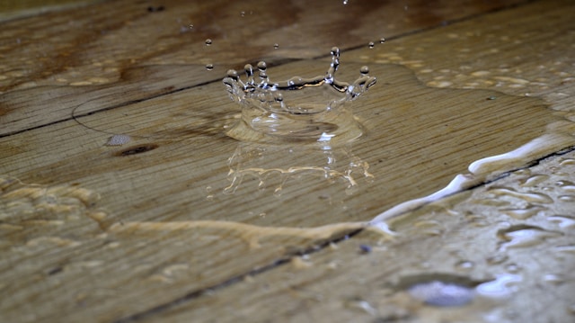 How Water Damage Impacts Indoor Environmental Health and Air Quality