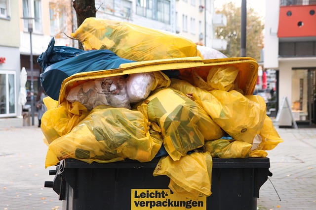 dumpster rental