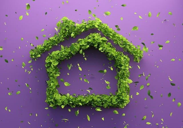 How to Make Home Design Choices with Sustainability in Mind