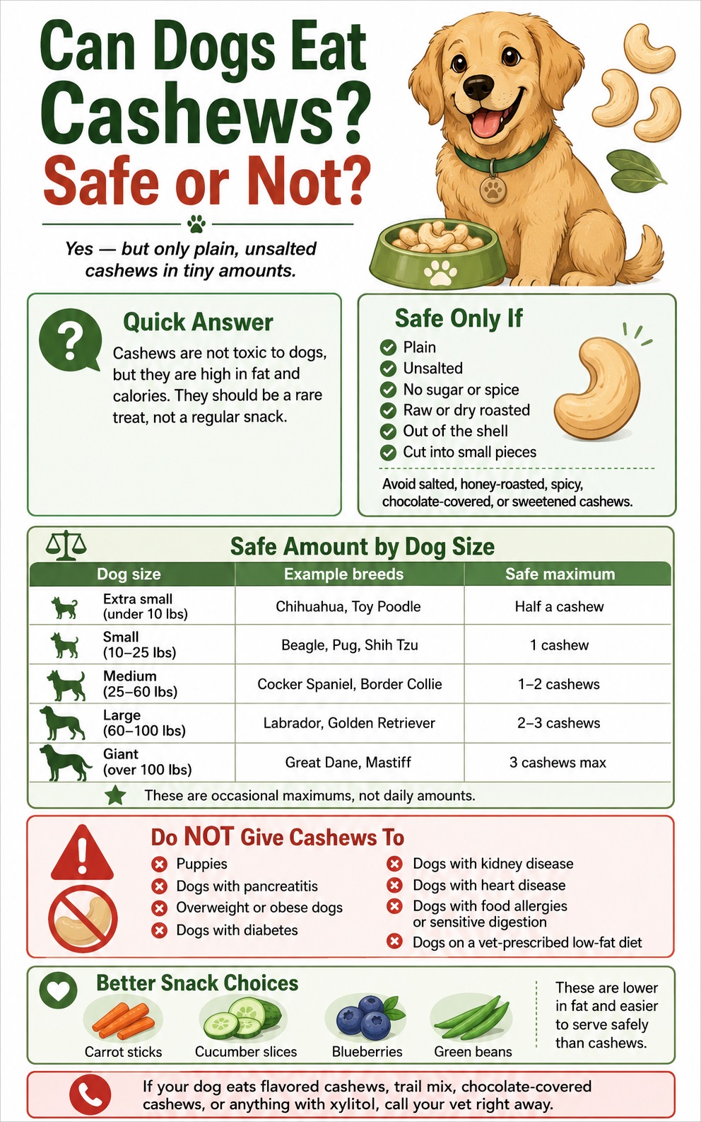 Infographic showing safe cashew amounts for dogs by size and warning signs for unsafe cashew products.