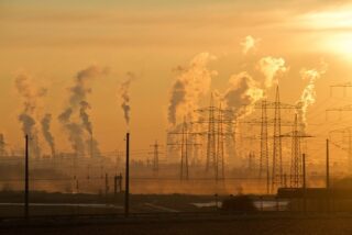 Digital Strategies That Help Environmental Initiatives Grow Their Online Presence