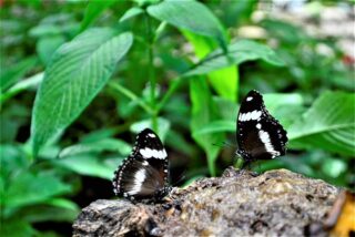 Creating a relaxing retreat that’s kind to nature
