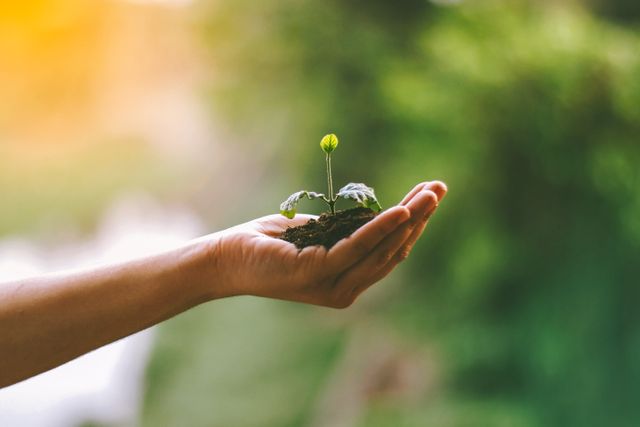 Closing the Data Gap: Why Transparent Data is Critical for ESG Success in 2026